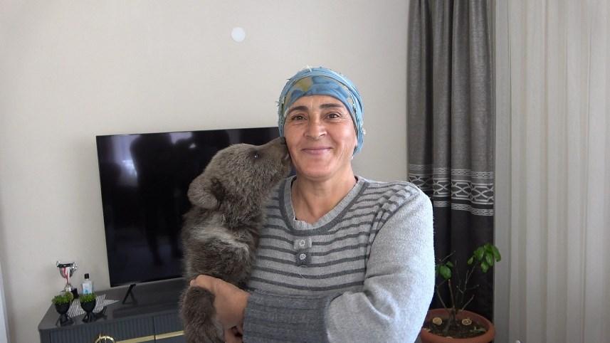 Gümüşhane'de Bebek bezli yavru ayı ‘Yogi’ evin maskotu oldu 8