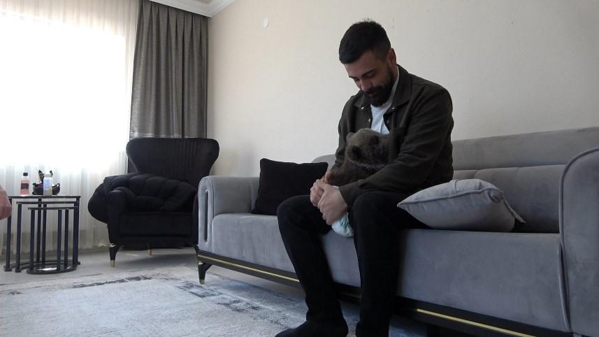 Gümüşhane'de Bebek bezli yavru ayı ‘Yogi’ evin maskotu oldu 7