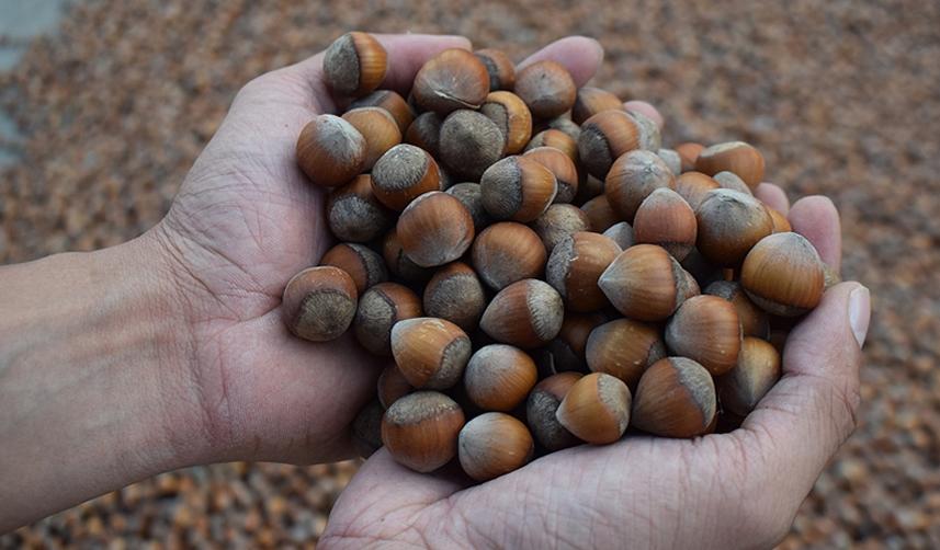 Trabzon ve çevre iller için flaş uyarı! Bunu asla yapmayın 8