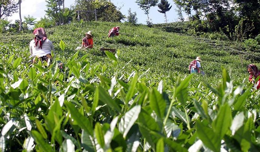 Trabzon ve çevre iller için flaş uyarı! Bunu asla yapmayın 5