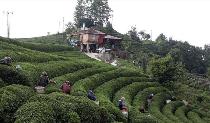 Trabzon ve çevre iller için flaş uyarı! Bunu asla yapmayın 4