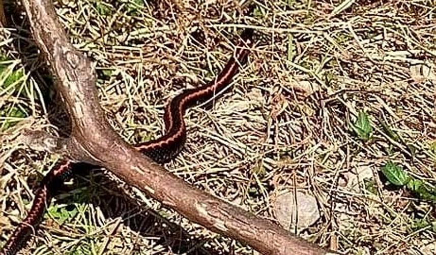 Trabzon ve çevre iller için flaş uyarı! Bunu asla yapmayın 1