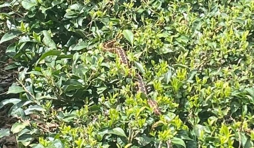 Trabzon ve çevre iller için flaş uyarı! Bunu asla yapmayın 3