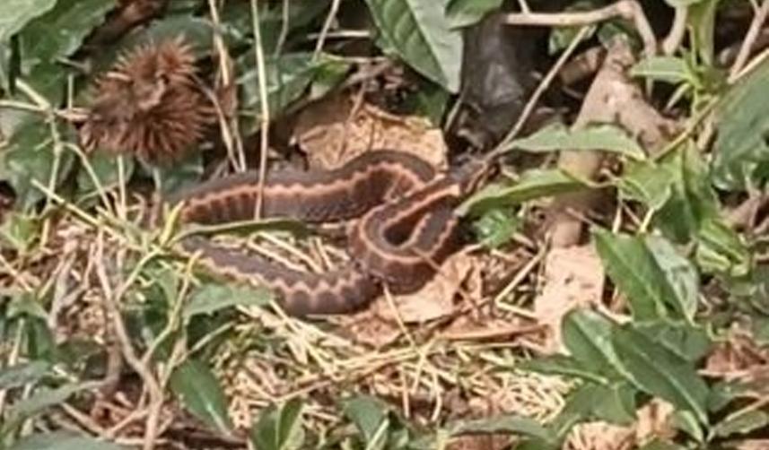 Trabzon ve çevre iller için flaş uyarı! Bunu asla yapmayın 2