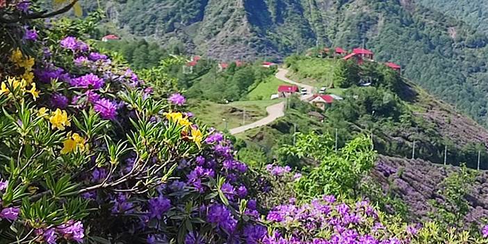 Sis Dağı'ndan görsel şölen 1