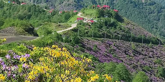 Sis Dağı'ndan görsel şölen 2