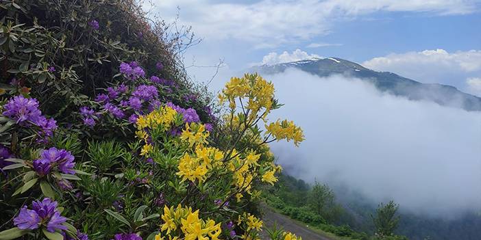 Sis Dağı'ndan görsel şölen 3