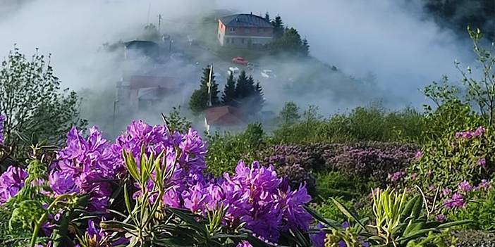 Sis Dağı'ndan görsel şölen 4