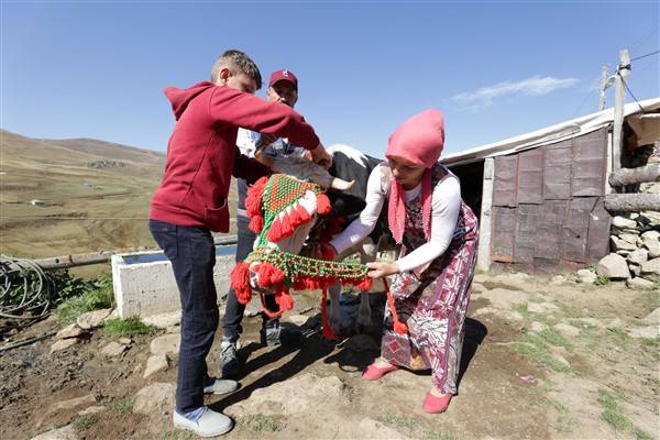 Yaylalardaki besicilerin dönüşü renkli görüntüler ortaya çıkardı 7