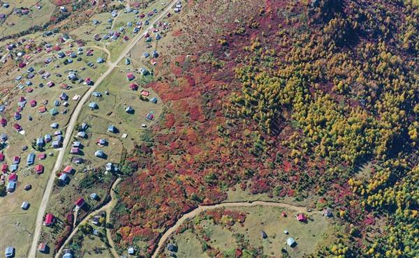 Trabzon-Giresun sınırında bulunuyor! Güz zamanı etkiliyor 2