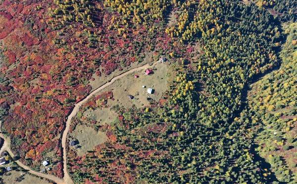 Trabzon-Giresun sınırında bulunuyor! Güz zamanı etkiliyor 3