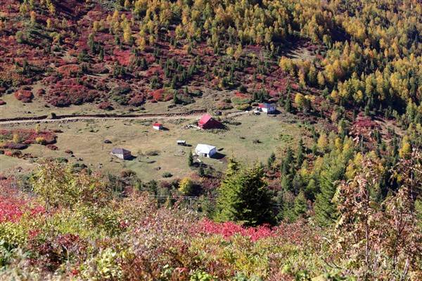 Trabzon-Giresun sınırında bulunuyor! Güz zamanı etkiliyor 8