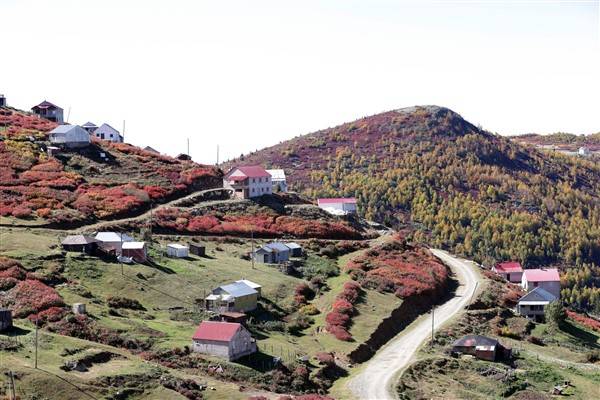 Trabzon-Giresun sınırında bulunuyor! Güz zamanı etkiliyor 9