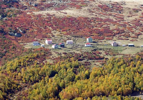 Trabzon-Giresun sınırında bulunuyor! Güz zamanı etkiliyor 10