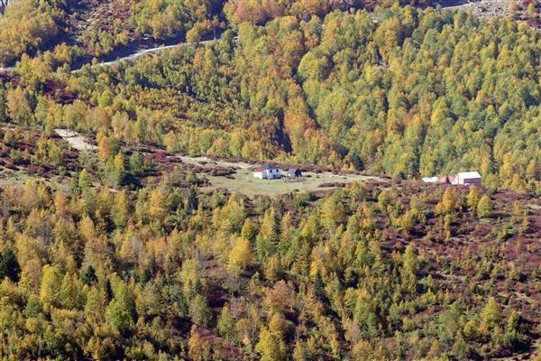 Trabzon-Giresun sınırında bulunuyor! Güz zamanı etkiliyor 11