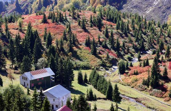 Trabzon-Giresun sınırında bulunuyor! Güz zamanı etkiliyor 12