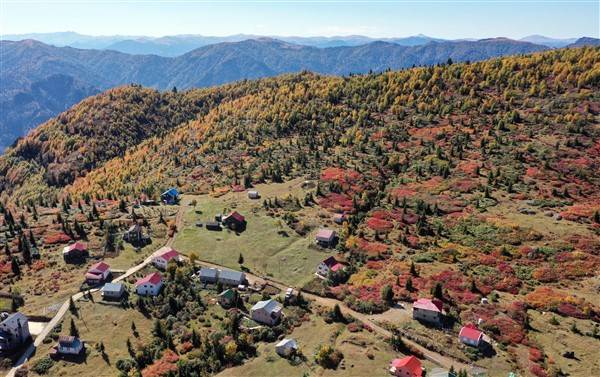 Trabzon-Giresun sınırında bulunuyor! Güz zamanı etkiliyor 16