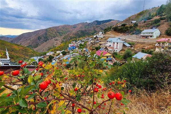 Gümüşhane dağları sonbaharda büyüledi 16