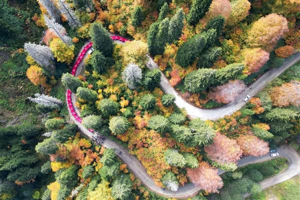 Cumhuriyetin 100. yılında 100 metrelik bayrakla ormanda yürüdüler 1