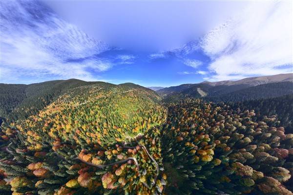 Cumhuriyetin 100. yılında 100 metrelik bayrakla ormanda yürüdüler 5