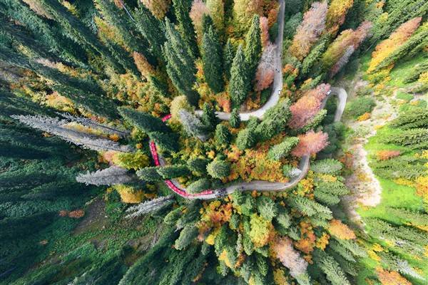 Cumhuriyetin 100. yılında 100 metrelik bayrakla ormanda yürüdüler 6