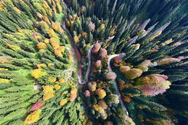 Cumhuriyetin 100. yılında 100 metrelik bayrakla ormanda yürüdüler 9