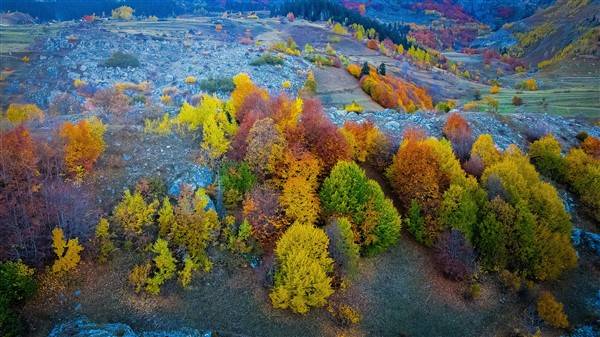 Artvin'de sonbahar renkleri kendini gösterdi 3