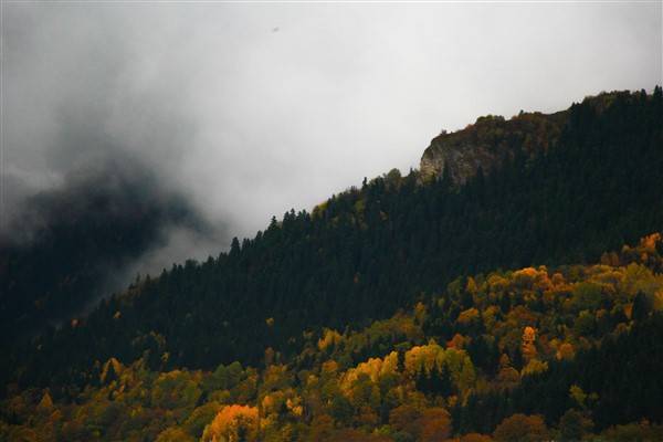 Artvin'de sonbahar renkleri kendini gösterdi 4