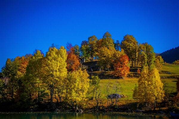 Artvin'de sonbahar renkleri kendini gösterdi 6