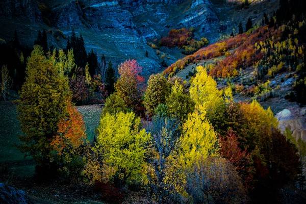Artvin'de sonbahar renkleri kendini gösterdi 10