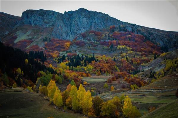 Artvin'de sonbahar renkleri kendini gösterdi 12