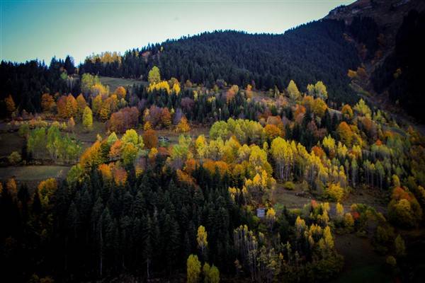 Artvin'de sonbahar renkleri kendini gösterdi 13