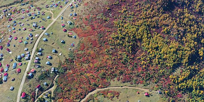 Trabzon-Giresun sınırında bulunuyor! Güz zamanı etkiliyor 1