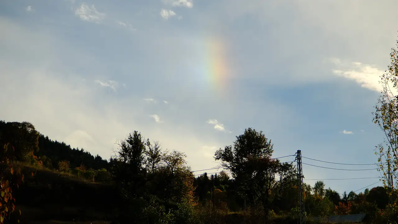 Gümüşhane’de sonbahar keyfi: Altın sarısı yapraklar ve karla kaplı zirveler 3