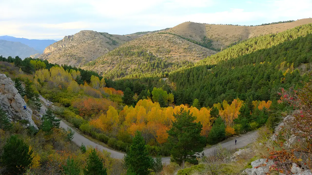 Gümüşhane’de sonbahar keyfi: Altın sarısı yapraklar ve karla kaplı zirveler 1