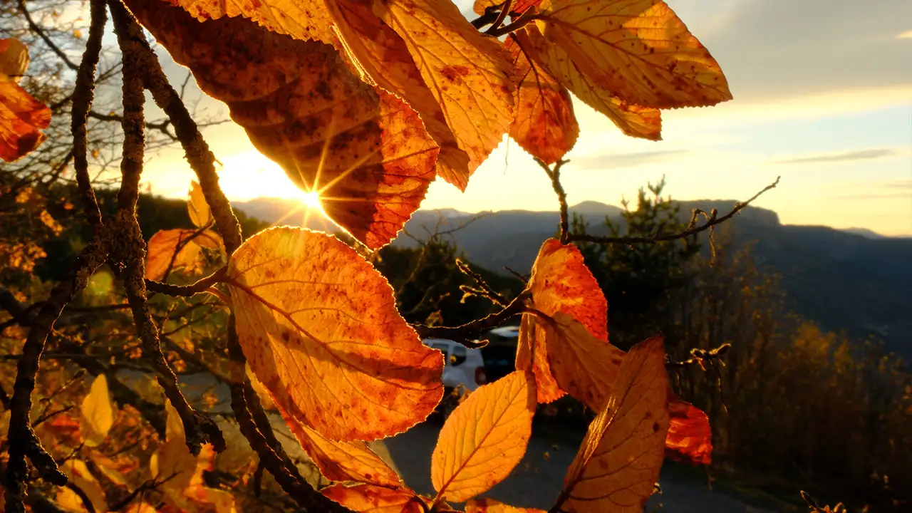 Gümüşhane’de sonbahar keyfi: Altın sarısı yapraklar ve karla kaplı zirveler 2