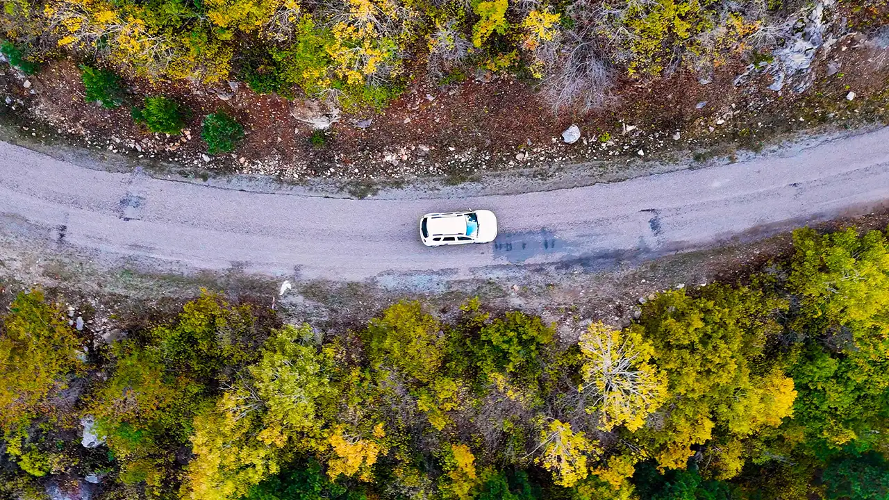 Gümüşhane’de sonbahar keyfi: Altın sarısı yapraklar ve karla kaplı zirveler 9