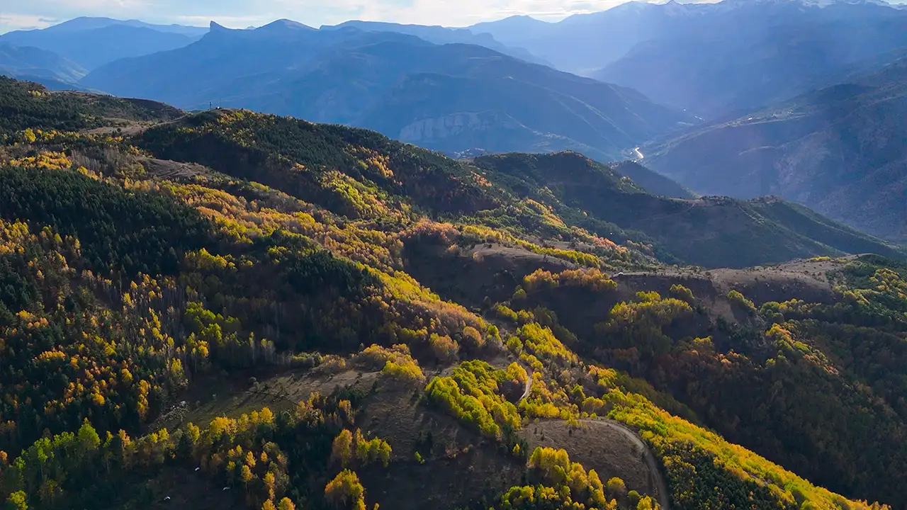 Gümüşhane’de sonbahar keyfi: Altın sarısı yapraklar ve karla kaplı zirveler 10
