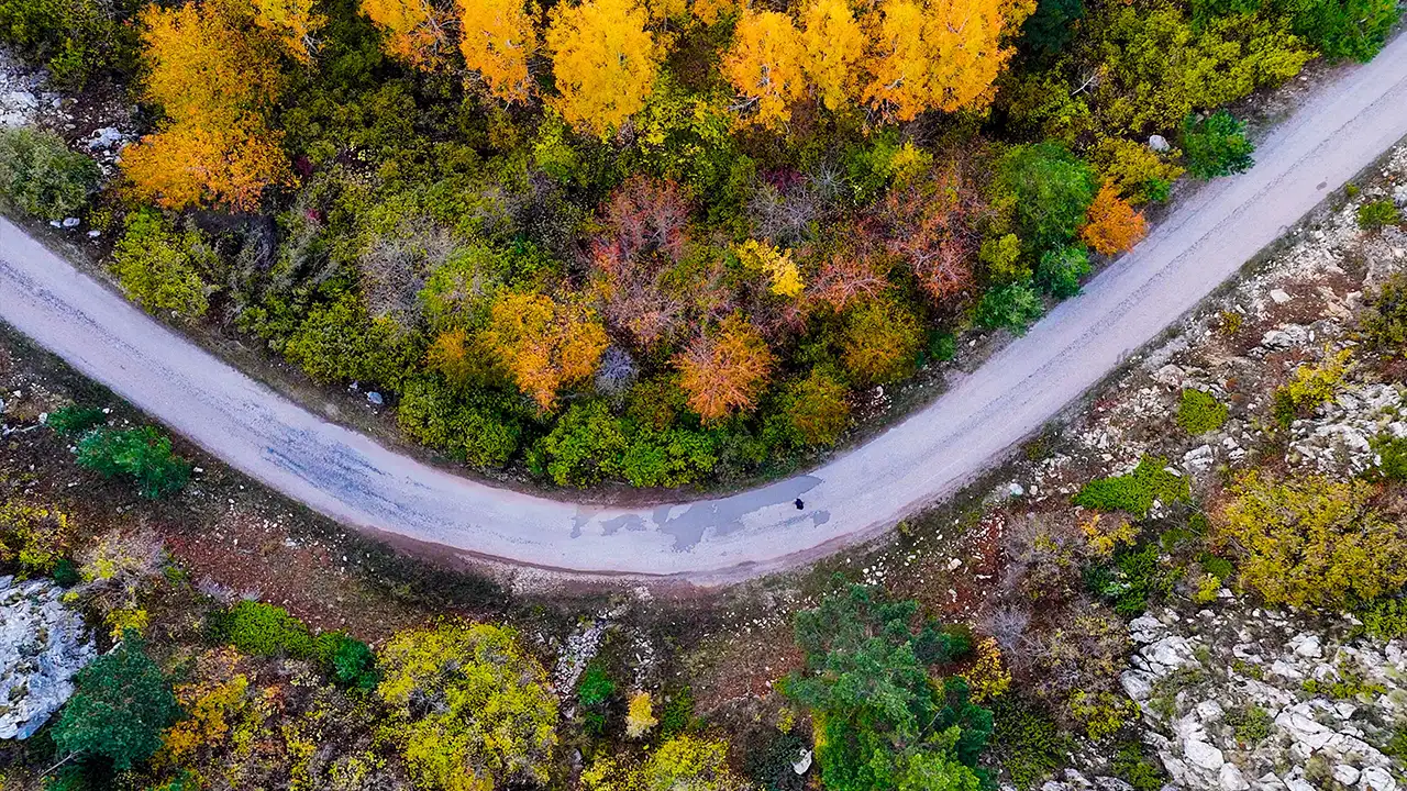 Gümüşhane’de sonbahar keyfi: Altın sarısı yapraklar ve karla kaplı zirveler 7