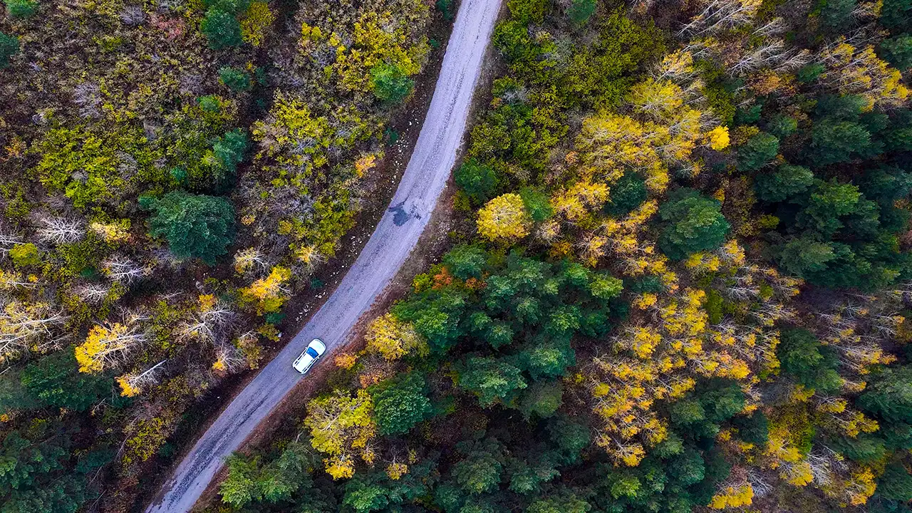 Gümüşhane’de sonbahar keyfi: Altın sarısı yapraklar ve karla kaplı zirveler 6