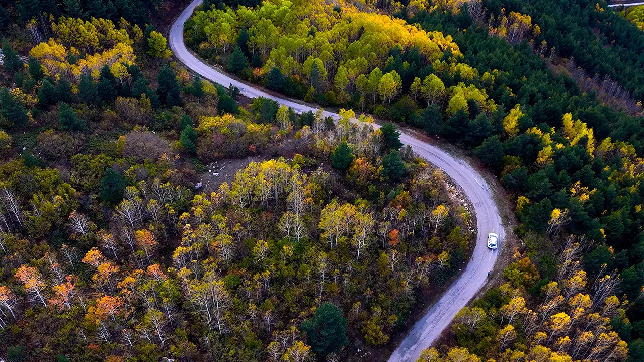Gümüşhane’de sonbahar keyfi: Altın sarısı yapraklar ve karla kaplı zirveler 5