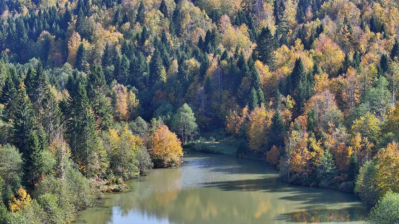 Trabzon’da Taşlıyatak Yaylası nerede? Görenler cennette kayboluyor 2