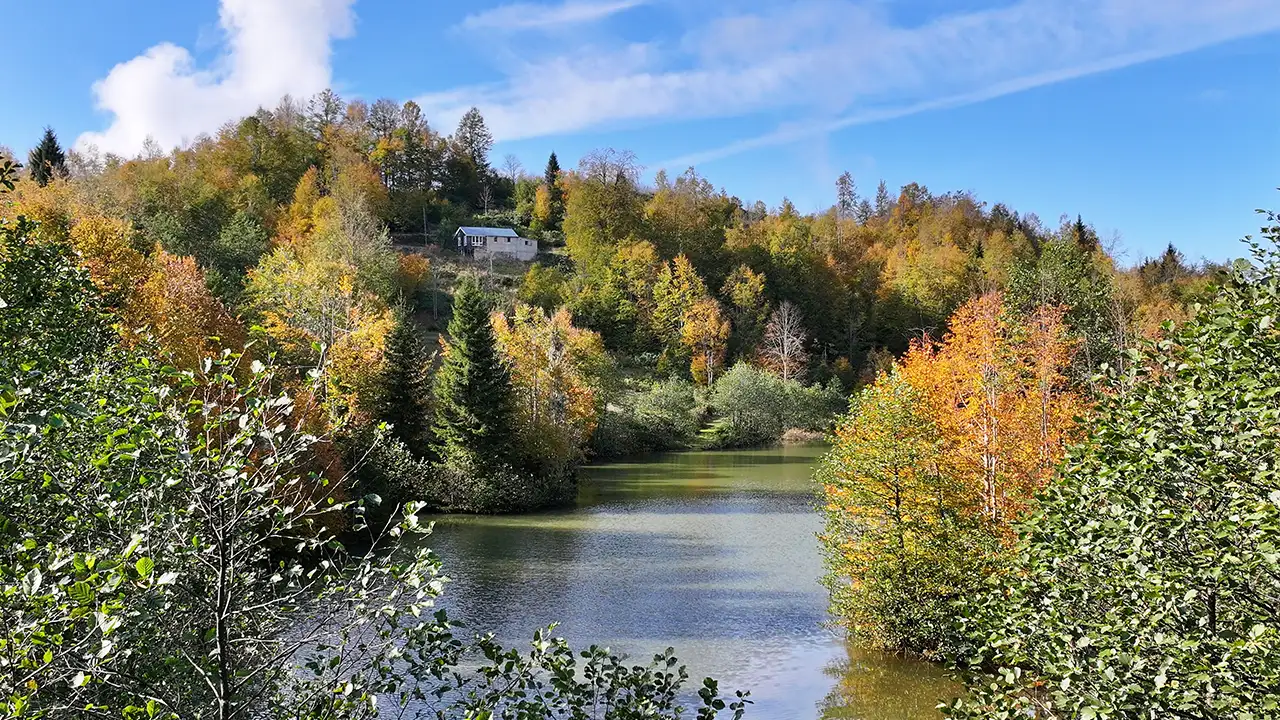 Trabzon’da Taşlıyatak Yaylası nerede? Görenler cennette kayboluyor 7