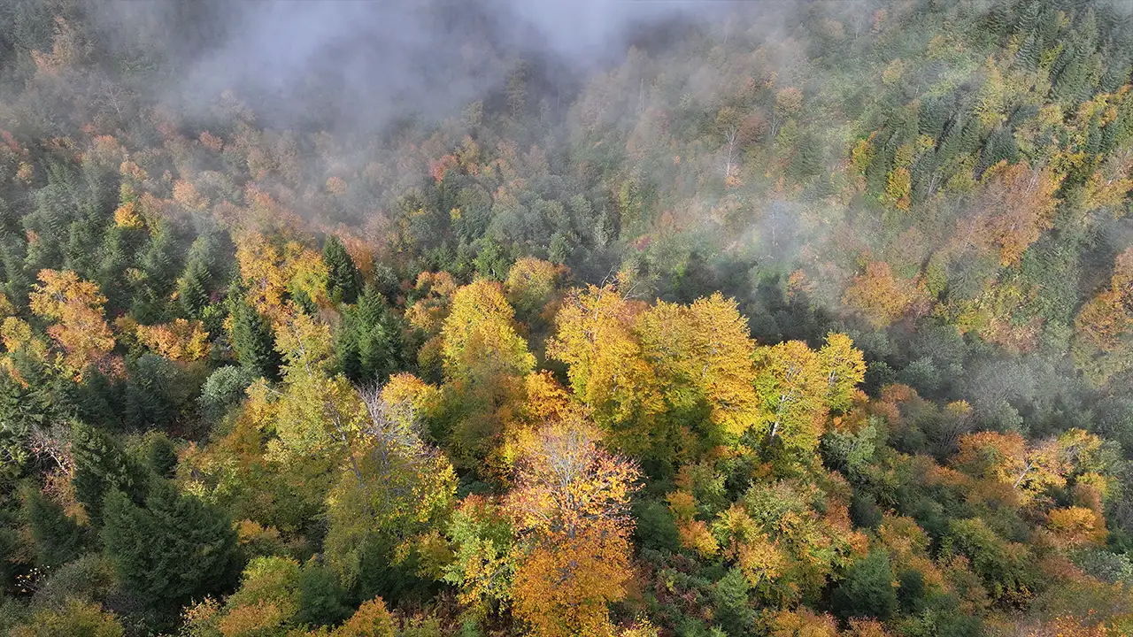 Trabzon’un yaylaları sonbahar renklerine büründü: Sisirna ve Karadağ yaylalarında görsel şölen 6