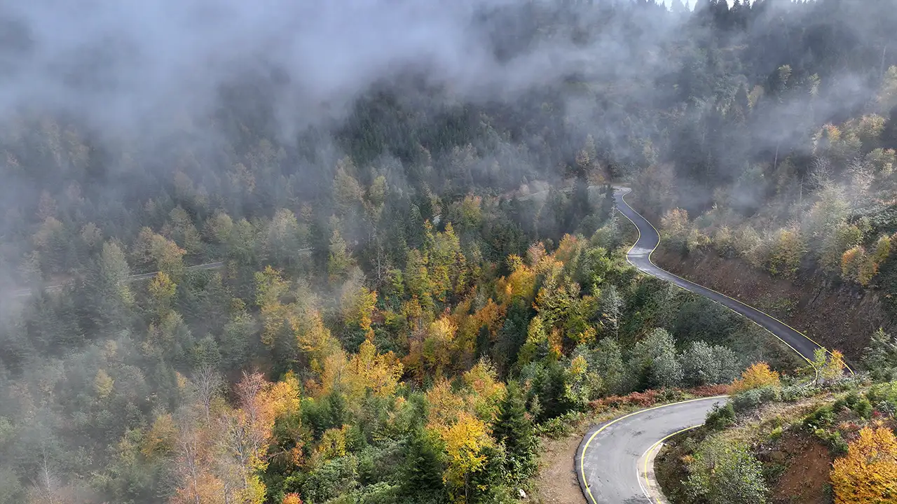 Trabzon’un yaylaları sonbahar renklerine büründü: Sisirna ve Karadağ yaylalarında görsel şölen 7