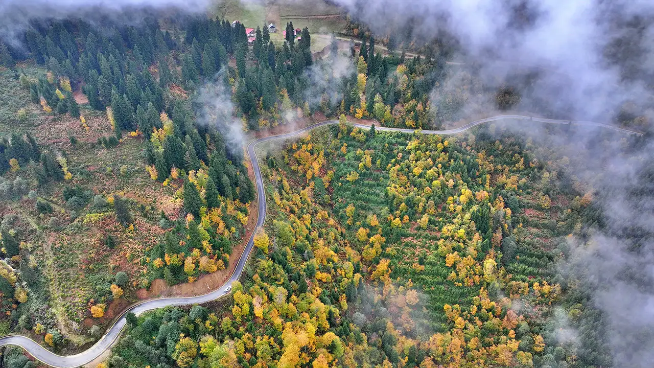 Trabzon’un yaylaları sonbahar renklerine büründü: Sisirna ve Karadağ yaylalarında görsel şölen 4