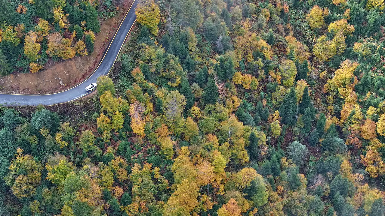 Trabzon’un yaylaları sonbahar renklerine büründü: Sisirna ve Karadağ yaylalarında görsel şölen 3