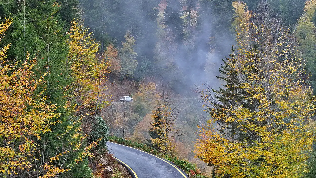 Trabzon’un yaylaları sonbahar renklerine büründü: Sisirna ve Karadağ yaylalarında görsel şölen 2