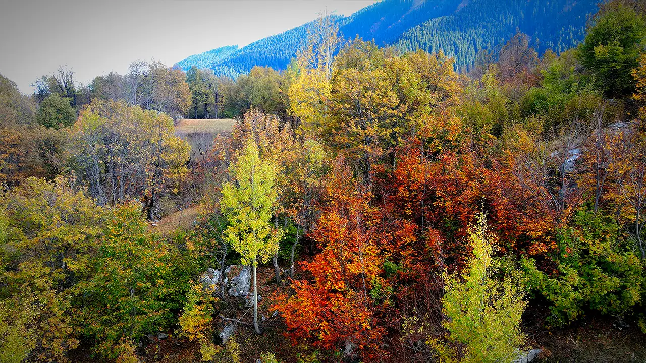 Artvin’de sakin şehir şavşat, sonbaharda adeta bir tabloya döndü 1