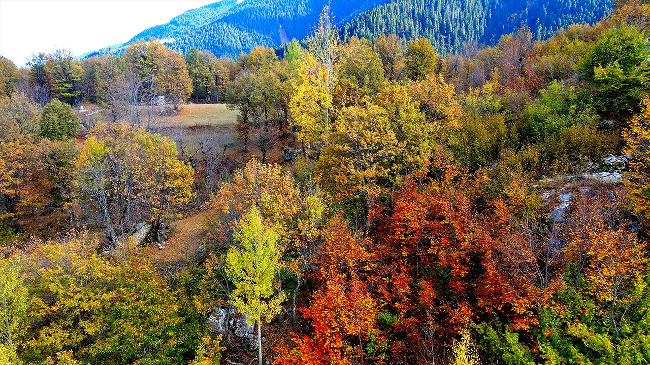 Artvin’de sakin şehir şavşat, sonbaharda adeta bir tabloya döndü 5